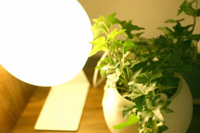 観葉植物をledライトで育てる方法とライト自作手順を解説 エデンな暮らし