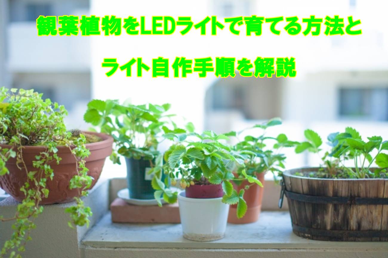 観葉植物をledライトで育てる方法とライト自作手順を解説 外構の達人