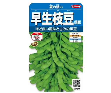 早生枝豆