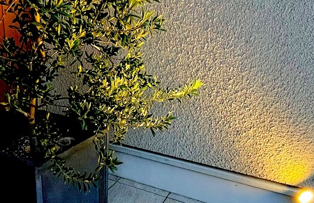 植物を下から照らす光