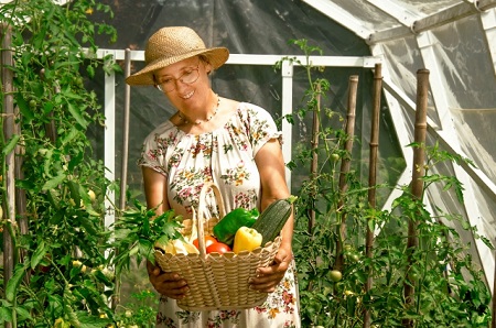 家庭菜園をする女性