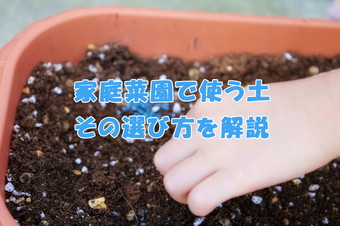 家庭菜園で使う土はどれを選ぶべき？そのポイントを解説します
