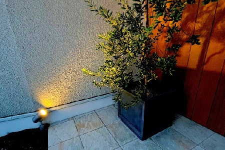 庭　照明　植物