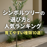 シンボルツリーの選び方と人気ランキング｜育てやすく外構に映える10選！
