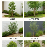 手間がかからないおすすめの庭木10選｜初心者にも優しいローメンテ植栽ガイド