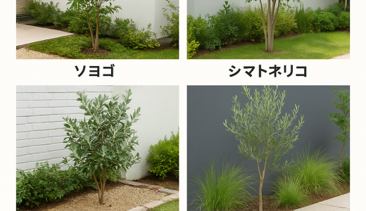 手間がかからないおすすめの庭木10選｜初心者にも優しいローメンテ植栽ガイド