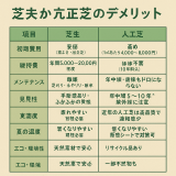 芝生か人工芝か？それぞれのメリット・デメリット比較｜庭に合うのはどっち？