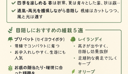 🌳目隠しになる植栽の選び方｜フェンスと組み合わせるコツ