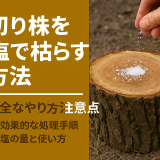 切り株を塩で枯らす方法｜安全なやり方と注意点