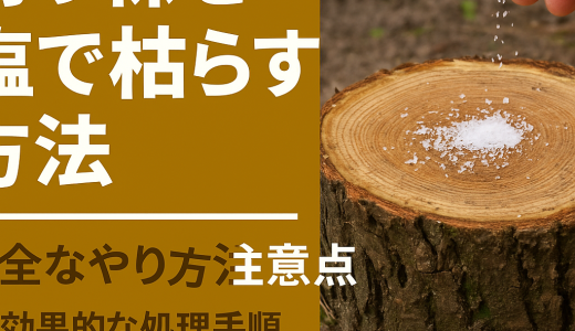 切り株を塩で枯らす方法｜安全なやり方と注意点